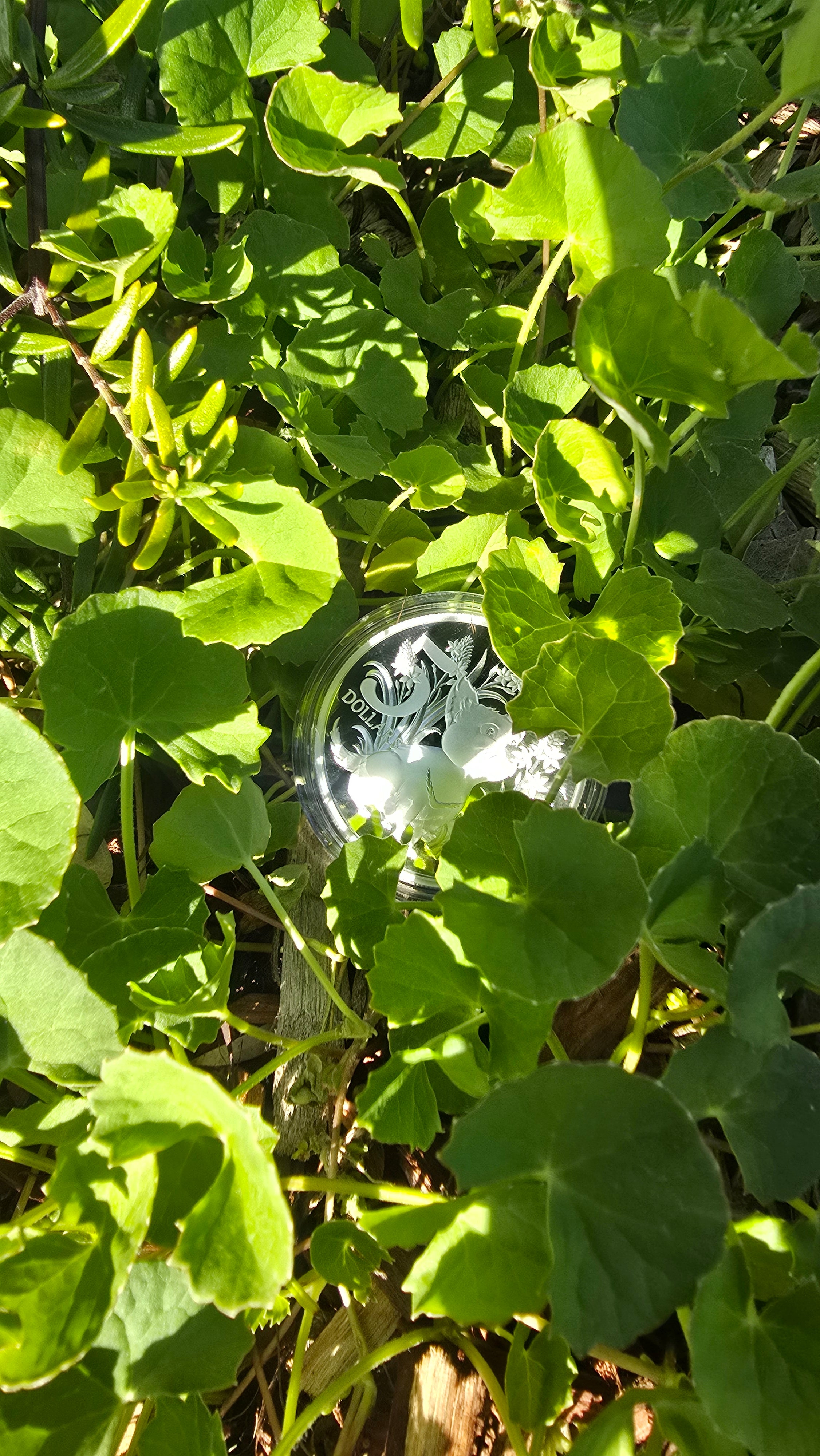 Newcastle January 2026 - Hunt #2 (Begins Friday 23rd January @3pm)